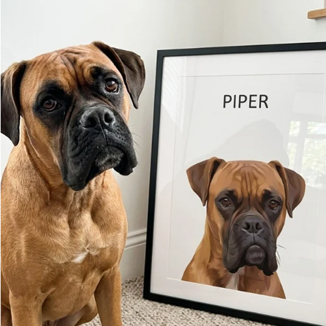 Custom Pet Portrait