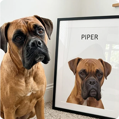 Father's day Gift