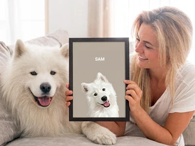 Pet Portraits