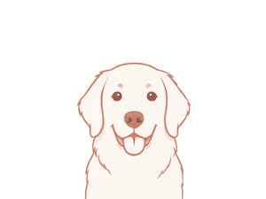 1 Pet