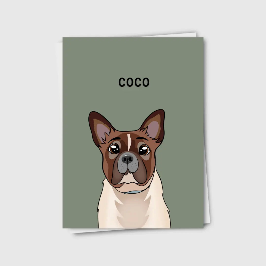 Cartoon Pet Portrait