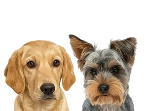 2 Pets