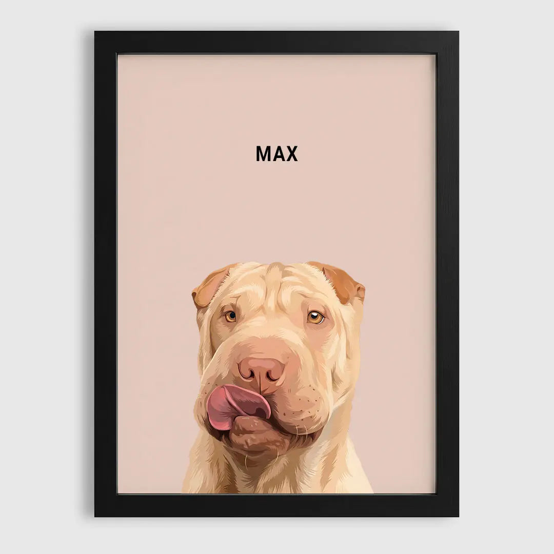 1-Pet/Black/Dusty-Pink