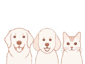 3 Pets