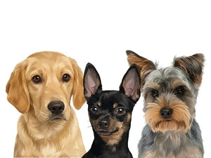 3 Pets