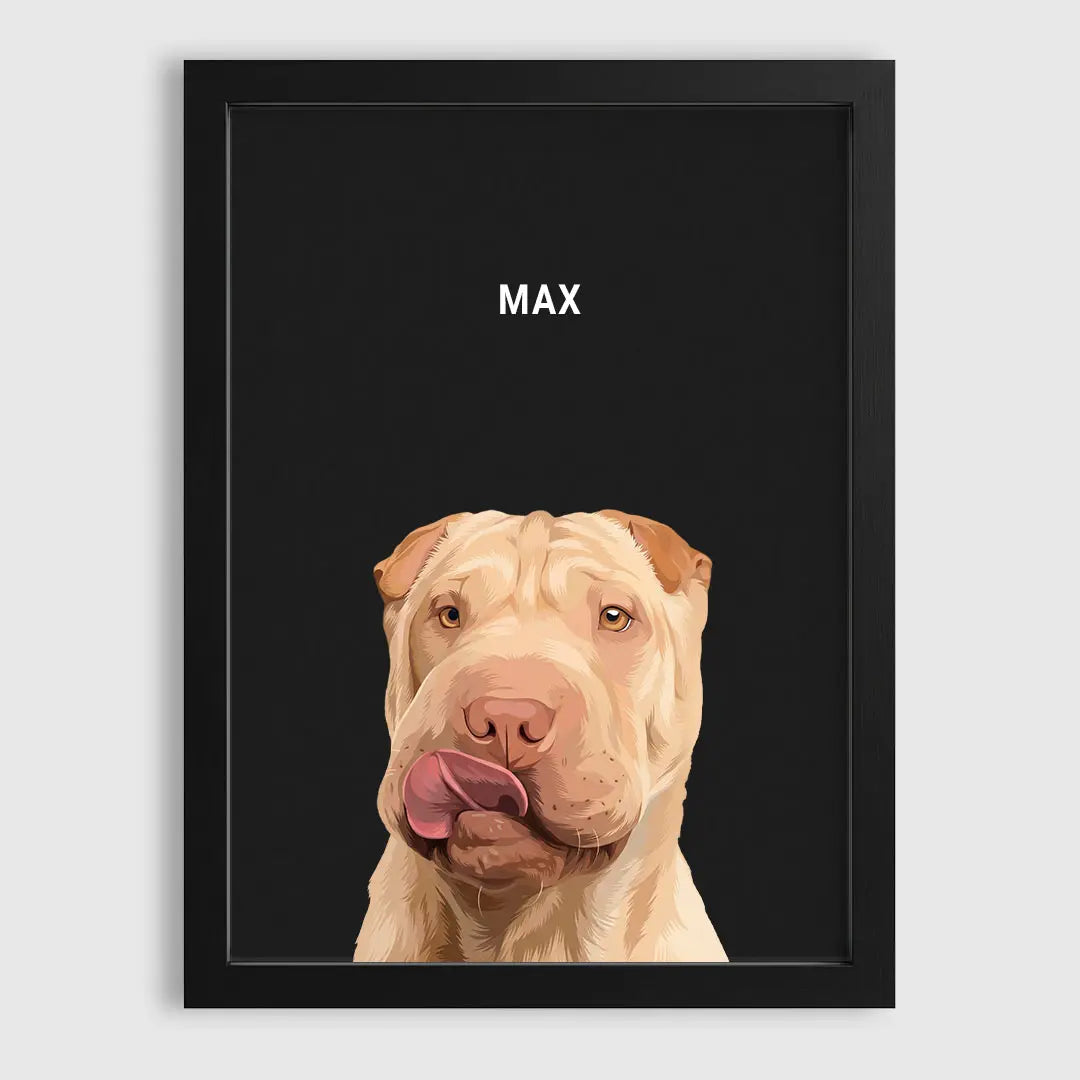 1-Pet/Black/Charcoal