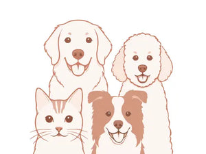 4 Pets