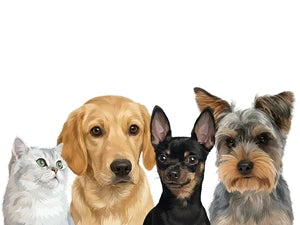 4 Pets