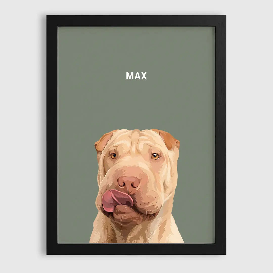 1-Pet/Black/Sage-Green