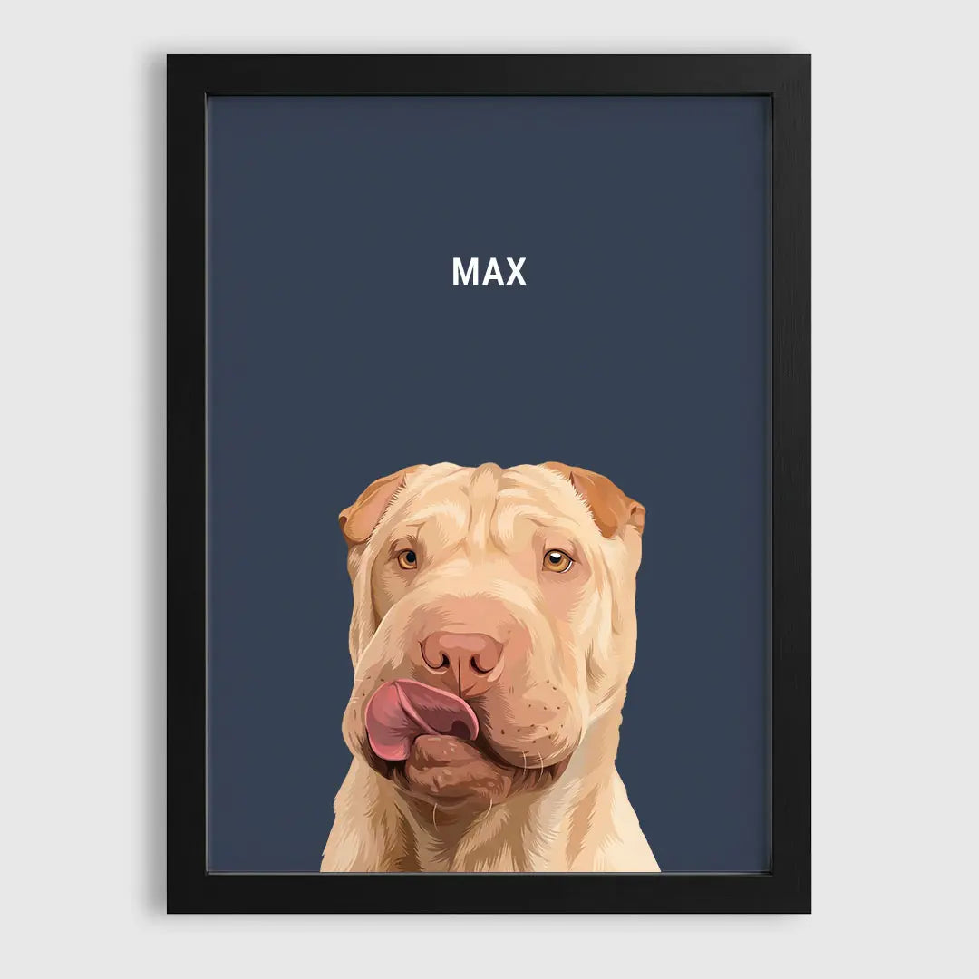 1-Pet/Black/Navy