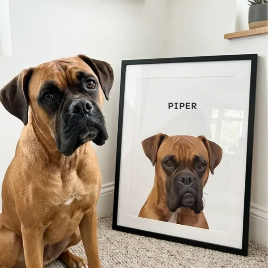 Modern Pet Portrait