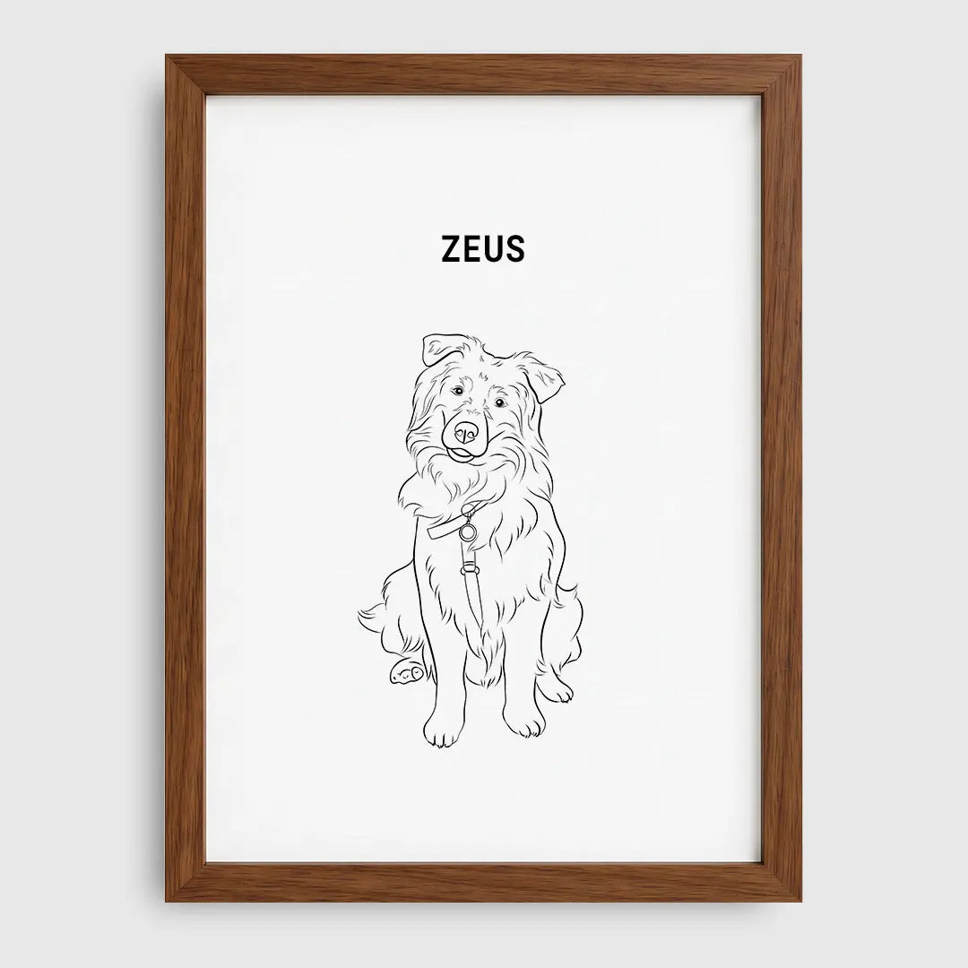 Line Art Pet Portrait