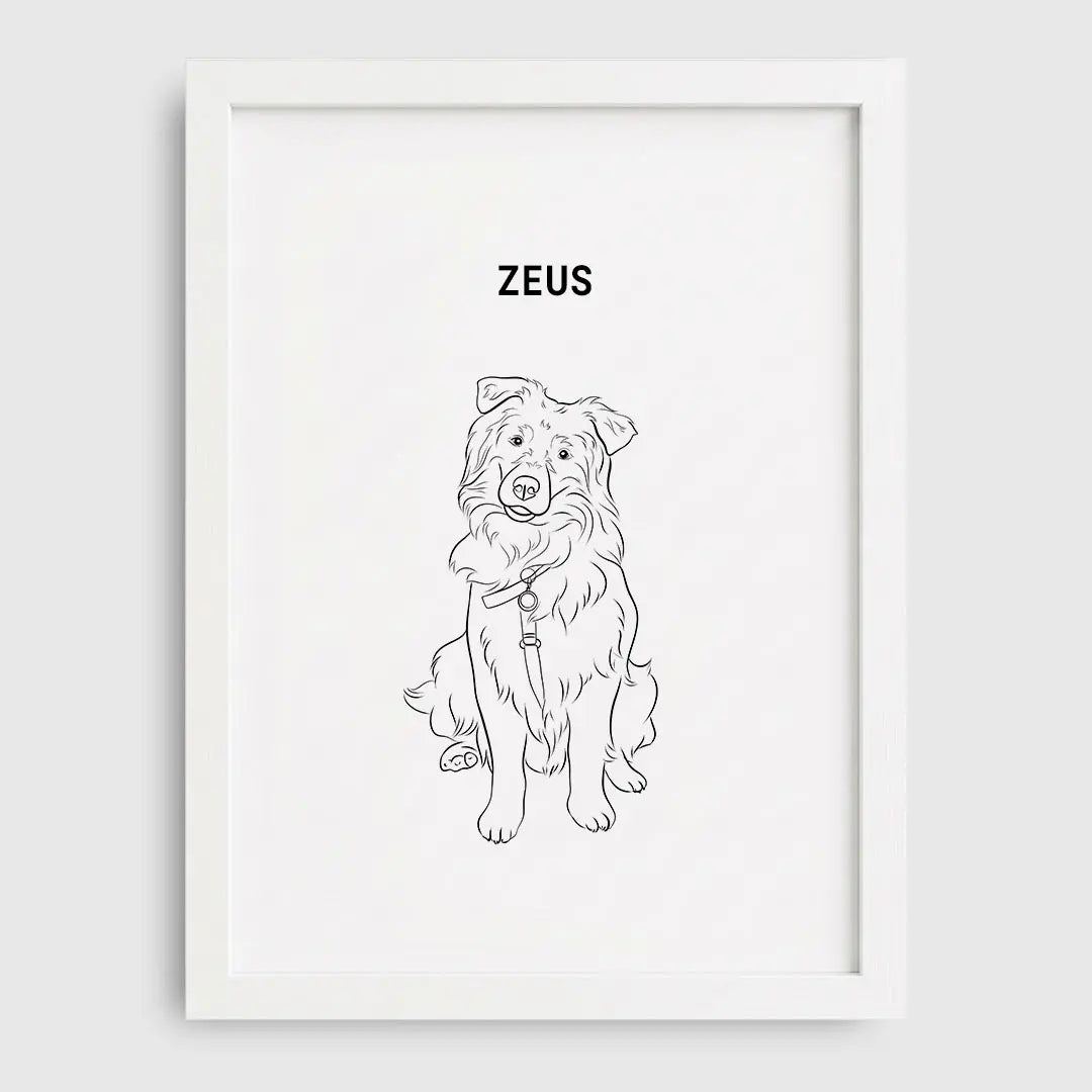 Line Art Pet Portrait