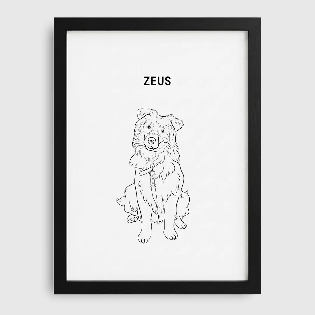Line Art Pet Portrait