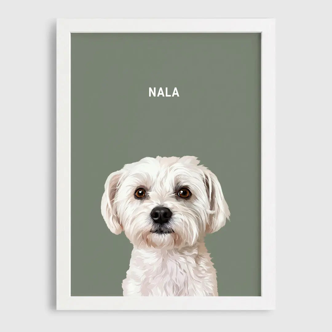 Custom Pet Portrait