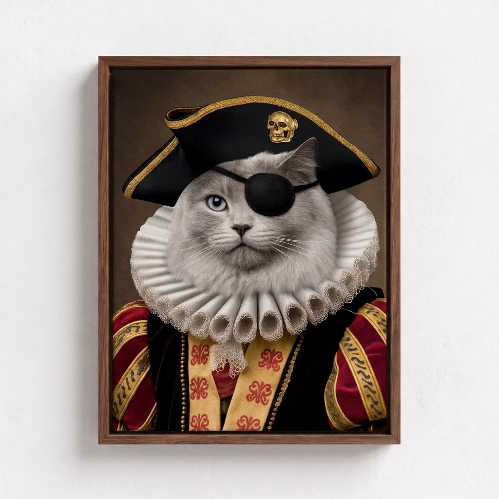 The Pirate Captain
