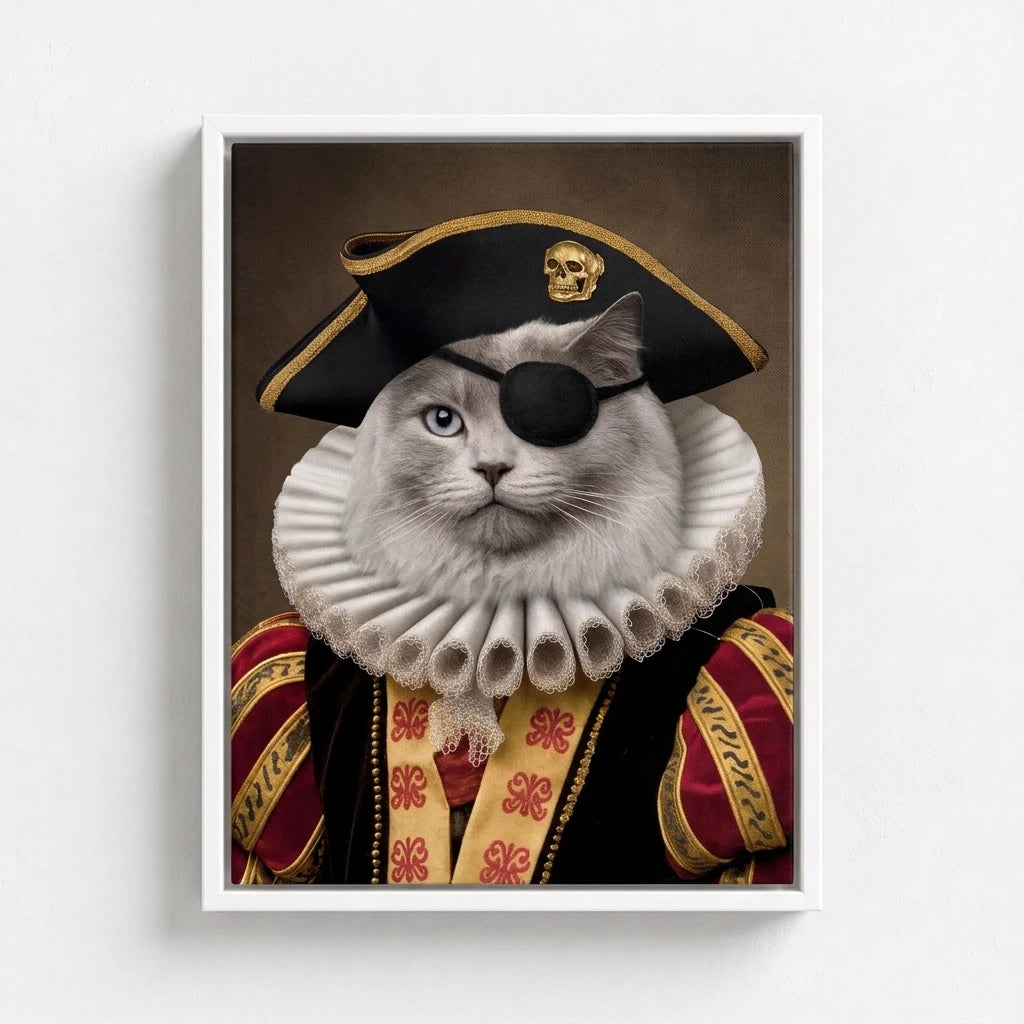 The Pirate Captain