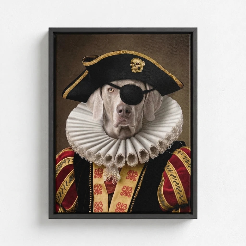 The Pirate Captain
