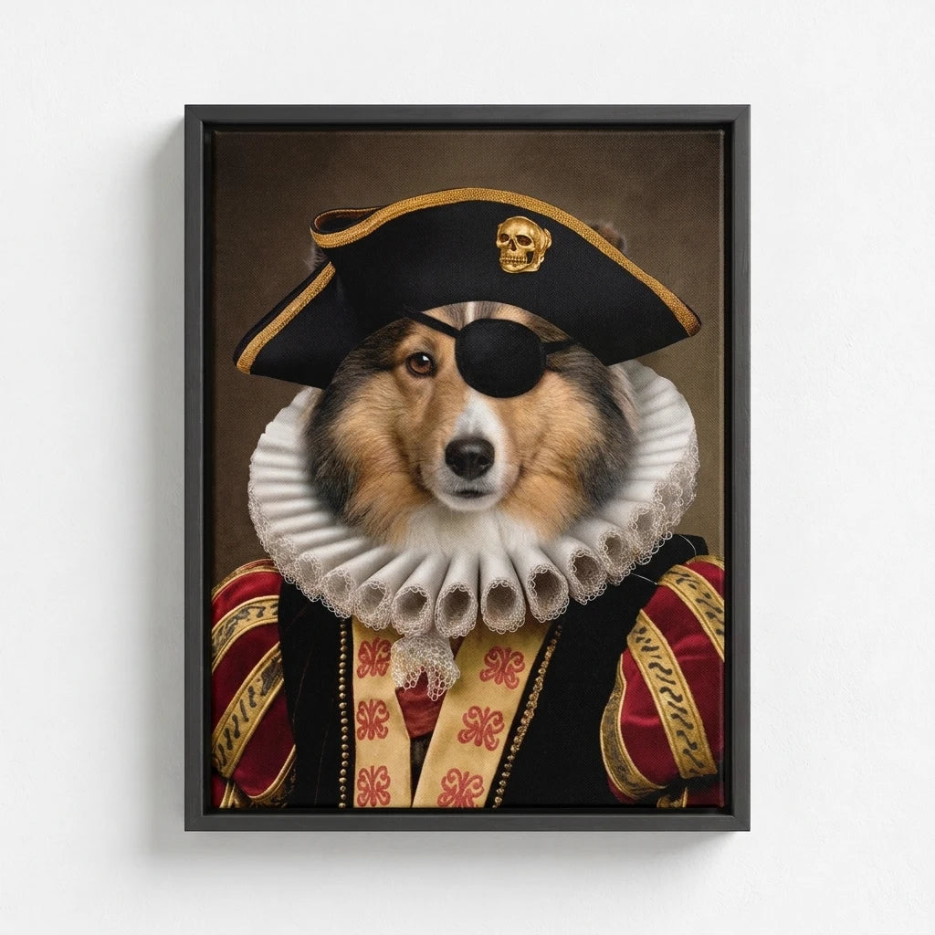 The Pirate Captain