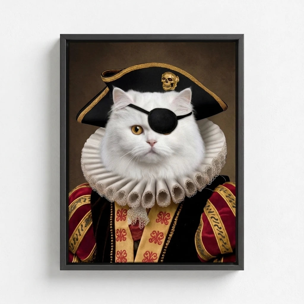 The Pirate Captain
