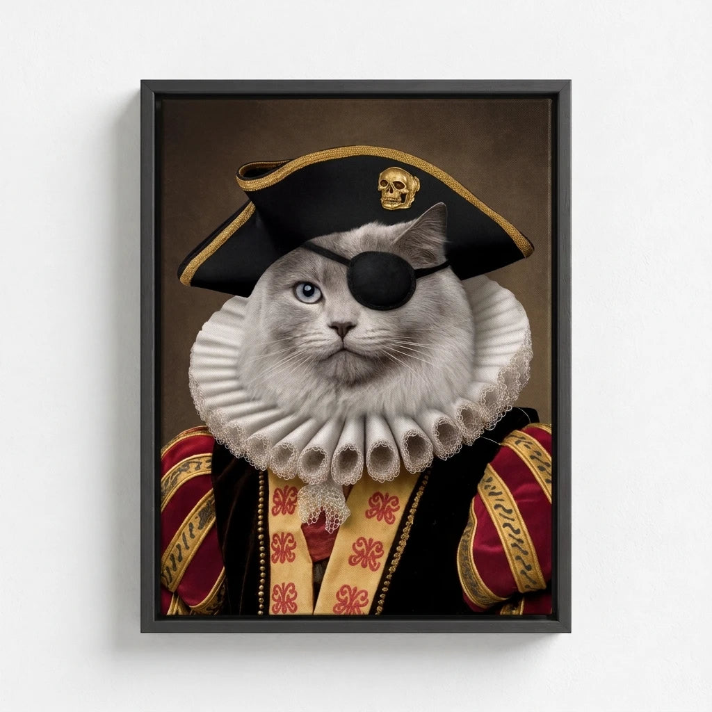 The Pirate Captain