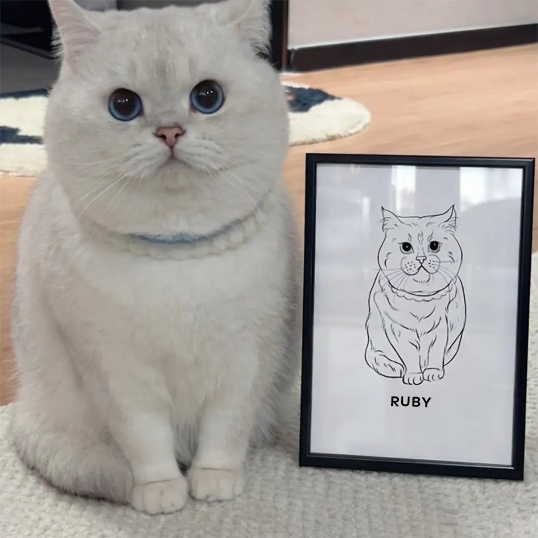 Timeless Outline Art
